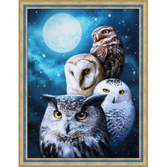 Diamond Painting  Night Owls 30x40