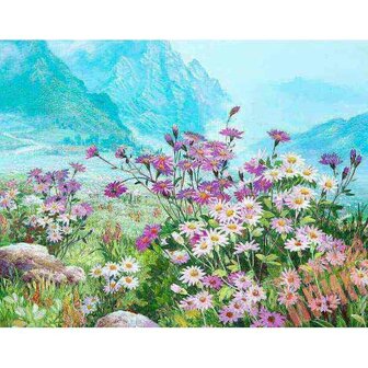 Spring Meadow 40 x 50