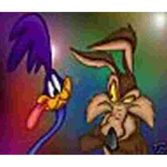 Roadrunner + Wile E Coyote