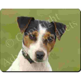 Jack Russel  Muismat