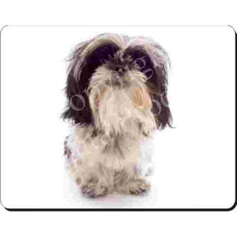 Shih Tzu Muismat