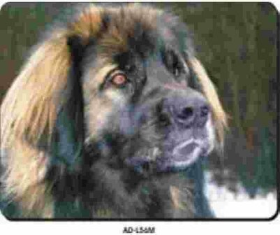 Muismat Leonberger Close Up