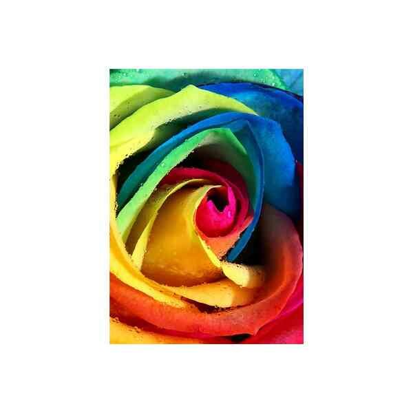 Diamond  Painting Rainbow Rose  20x30