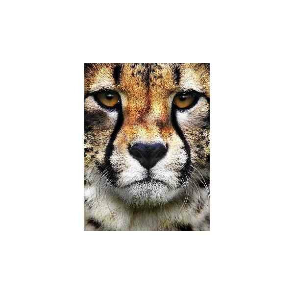 Diamond  Painting Hunter&#039;s Look  15x20