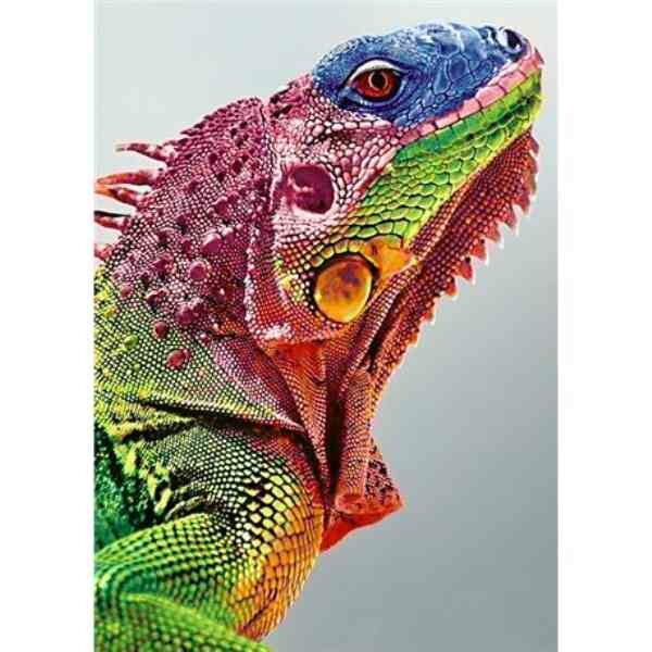 Diamond Painting Iguana