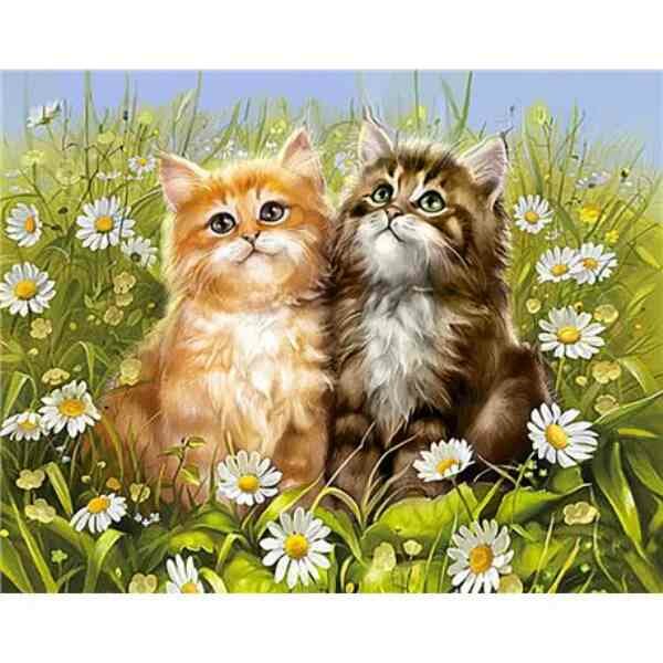 Diamond  Painting Summer Kittens