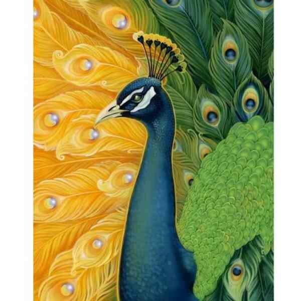 Peacock