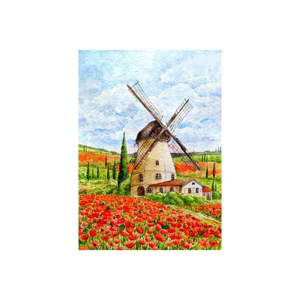 Molen 50*70 cm