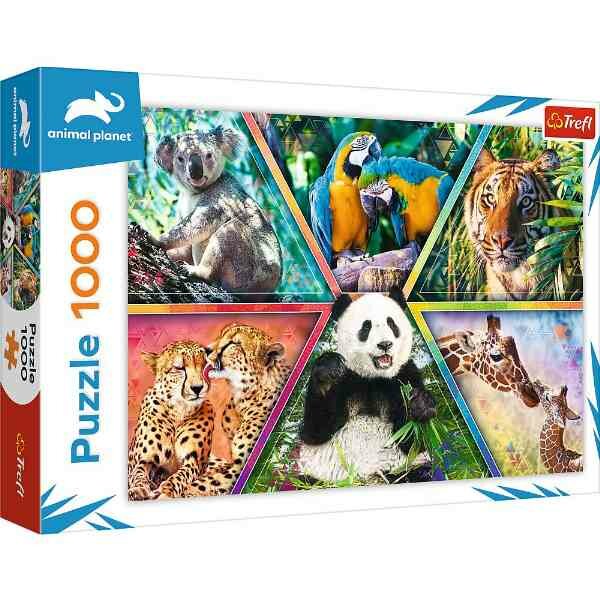 Animal Kingdom  Puzzel 1000 Stukken