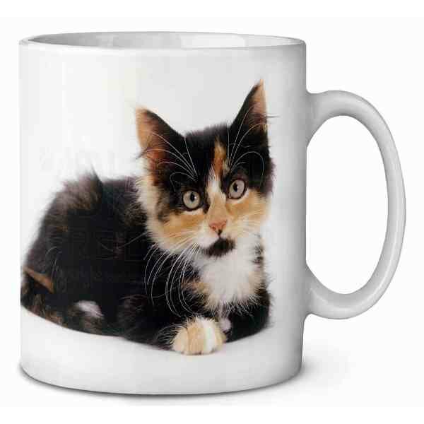 Schilpadkat kitten  Koffie-thee mok