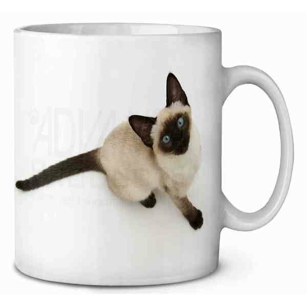 Siamese kitten  Koffie-thee mok