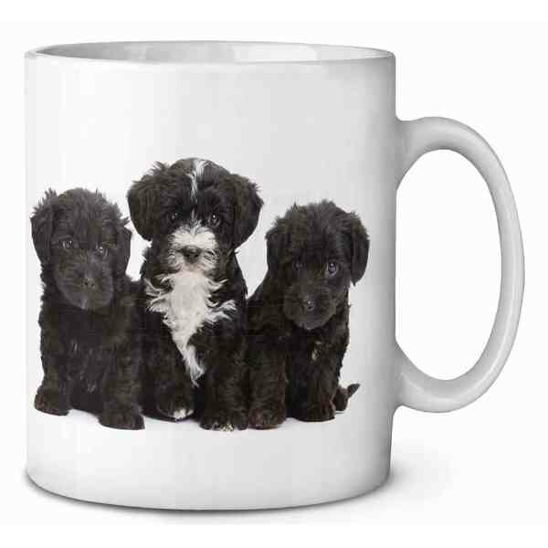 Yorkipoo Pups  Koffie-thee mok