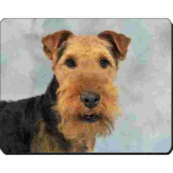 Welsh Terrier Muismat