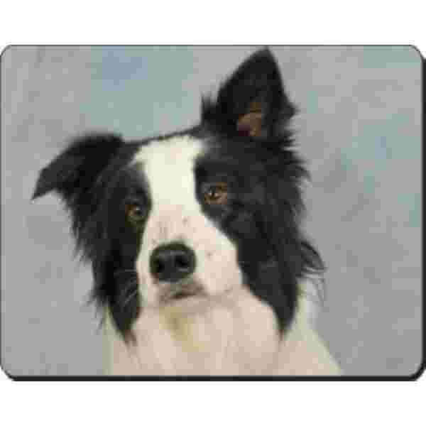 Border Collie Muismat