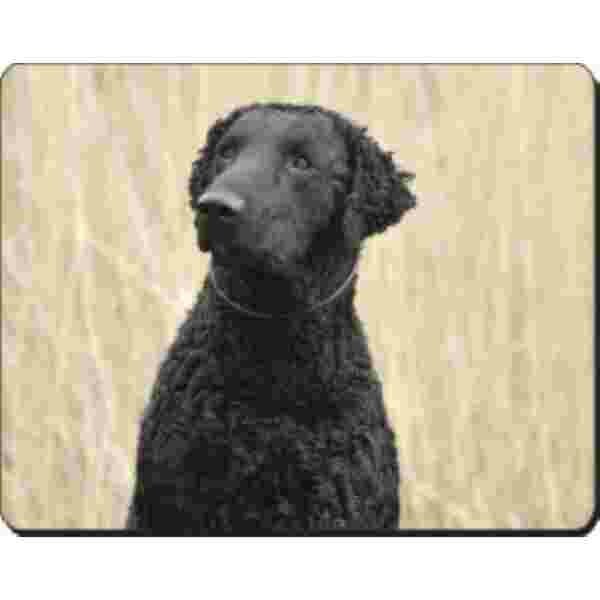 Curly Coated Retriever Muismat