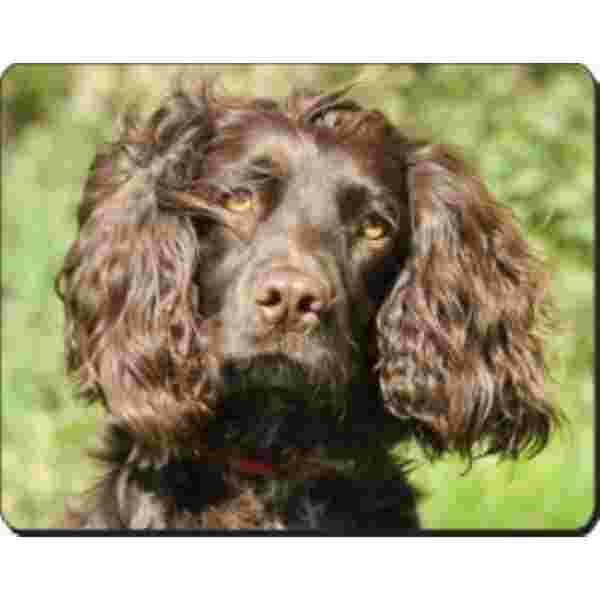 Bruine Cocker Spaniel Muismat