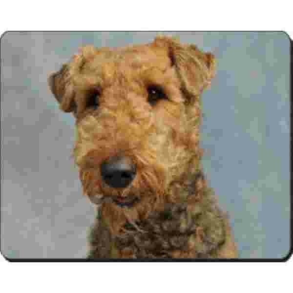 Airdale Terrier  Muismat