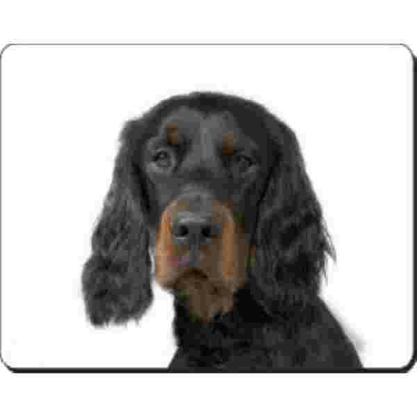 Gordon Setter Muismat