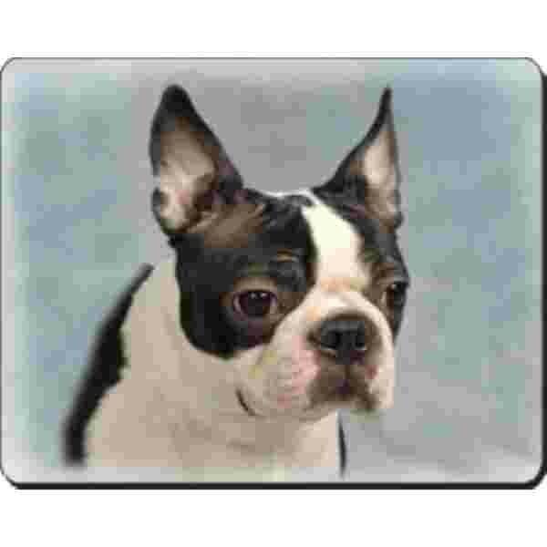 Boston Terrier Muismat