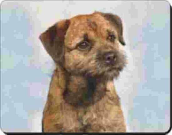 Border Terrier Muismat