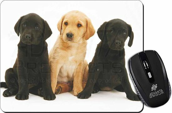 3 Labrador Pups Muismat