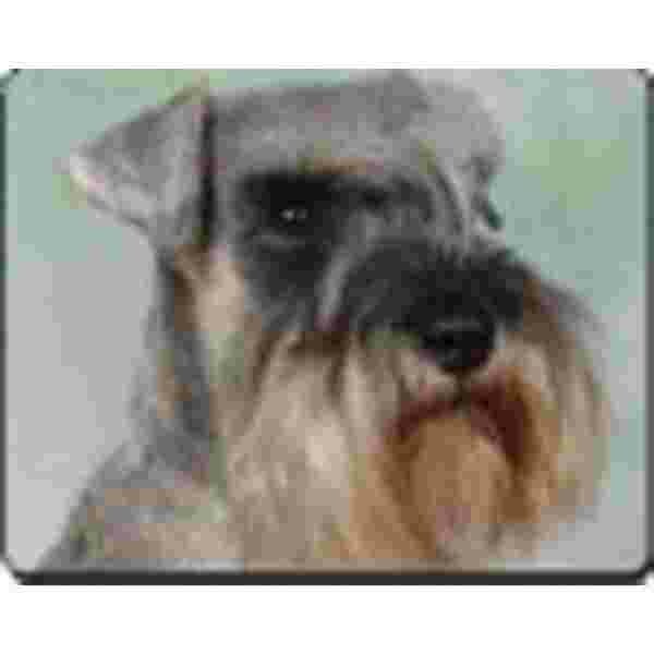 Schnauzer Muismat