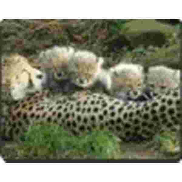 Cheetah met Cubs Muismat