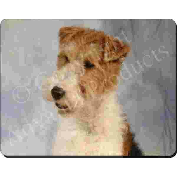 Welsh Terrier   Muismat