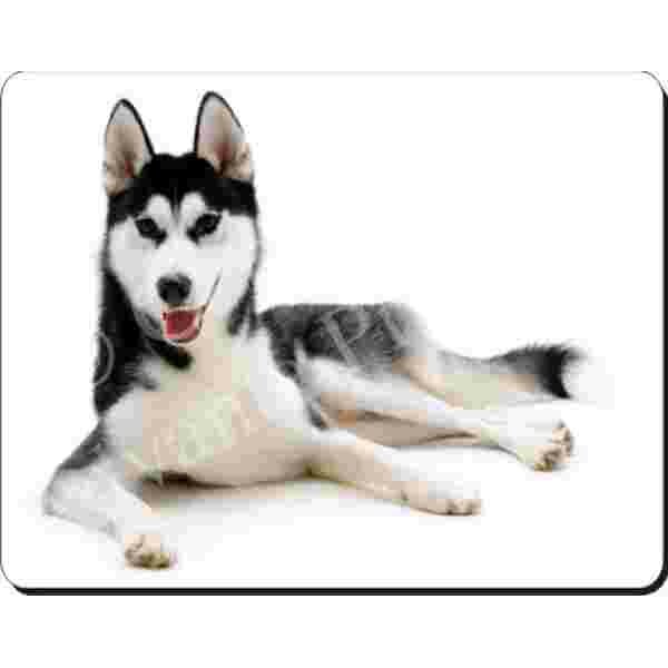 Siberische Husky Muismat