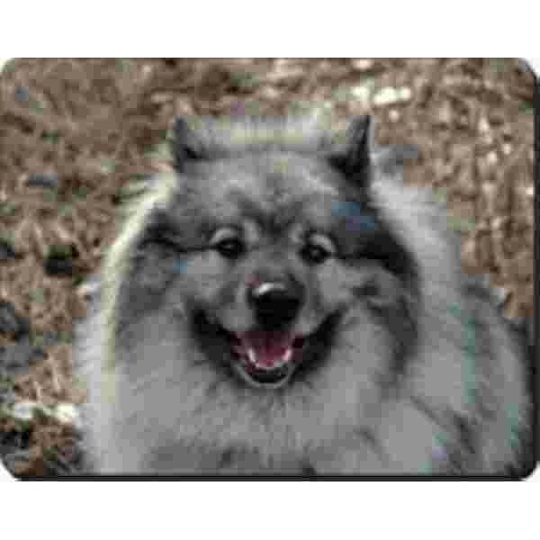 grijze keeshond  Muismat Advanta