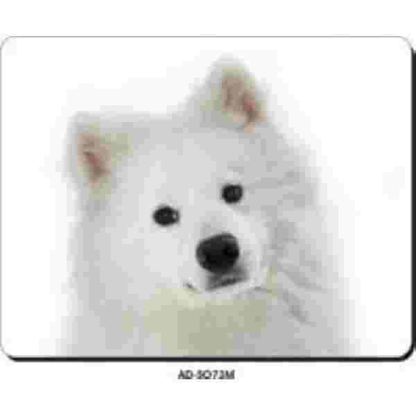 Samoyed  Muismat