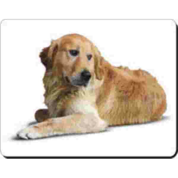 golden retriever Liggend Muismat