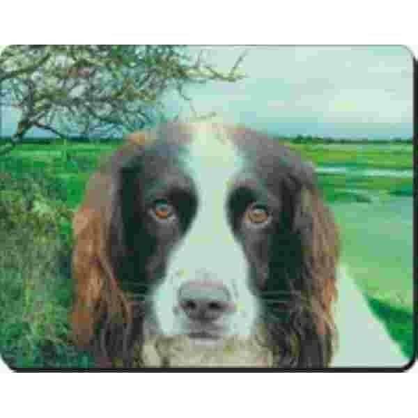 Springer Spaniel In Veld  Muismat