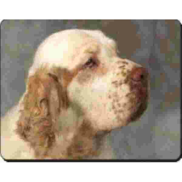 Rood witte Setter Muismat