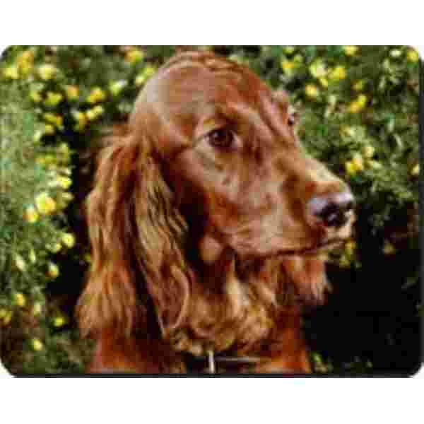 Ierse Setter Muismat