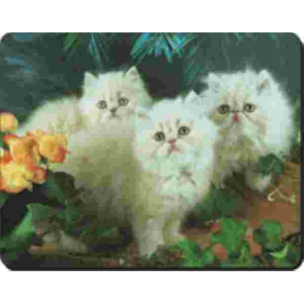 3 Perzische Kittens Muismat