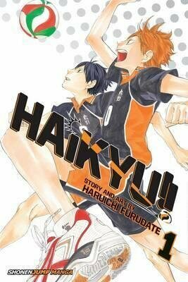 HAIKYU GN VOL 01