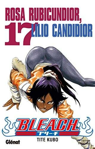 BLEACH - Tome 17