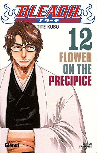 BLEACH - Tome 12