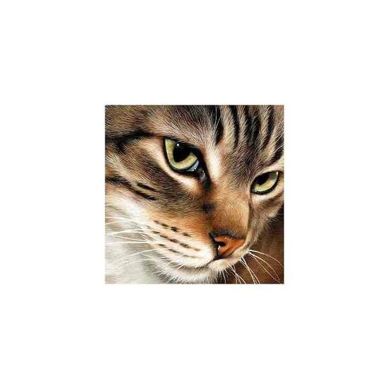 Diamond  Painting Mysterious Cat 20x20