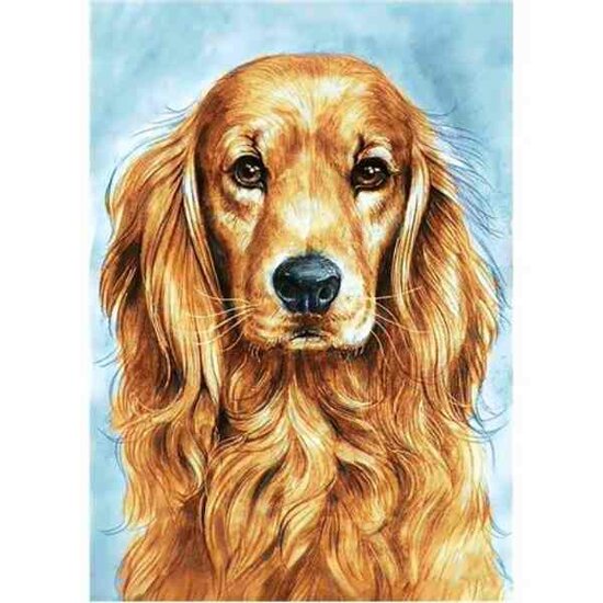 Diamond Painting Faithful Dog