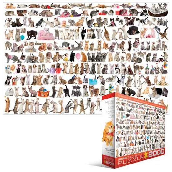 Cats  Puzzel 2000 Stukjes