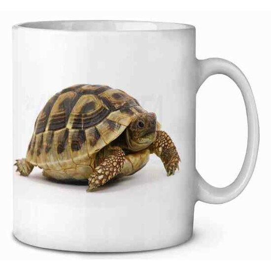 Schildpad Koffie-thee mok