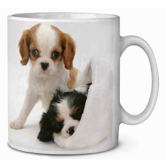 Cavalier King charles  Koffie-thee mok