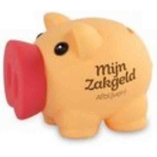 Mijn zakgeld, afblijven!