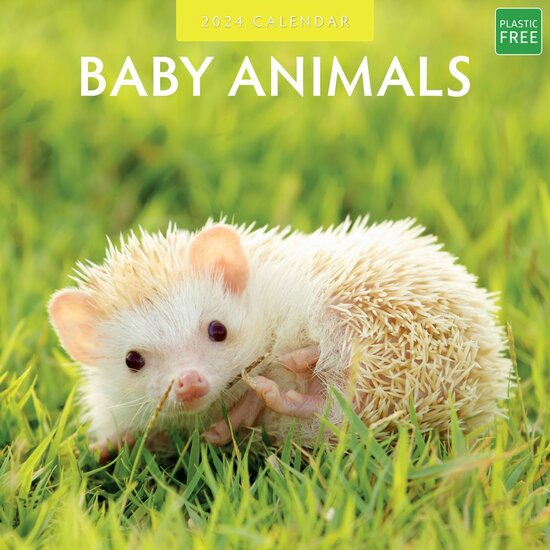 Kalender 2024 - Baby Animals