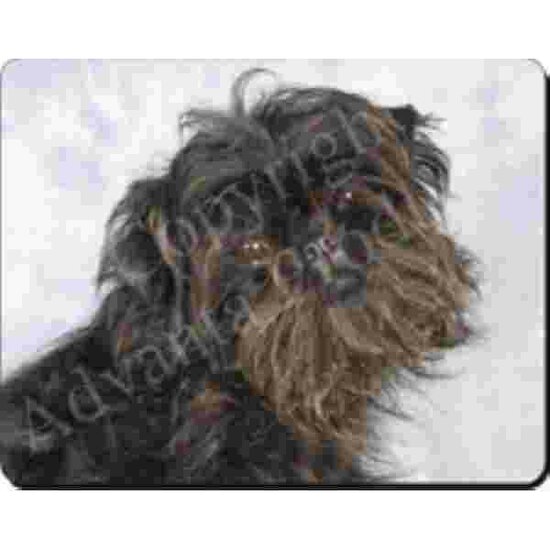 AFFENPINSCHER Muismat