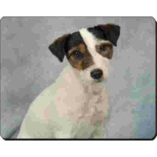 Jack Russel Terrier Muismat