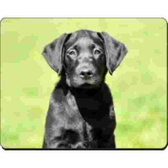 Labrador Pup Zwart Muismat