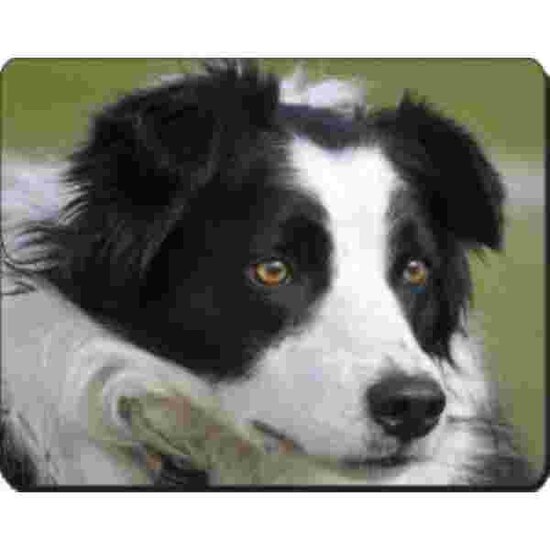 Border Collie Muismat